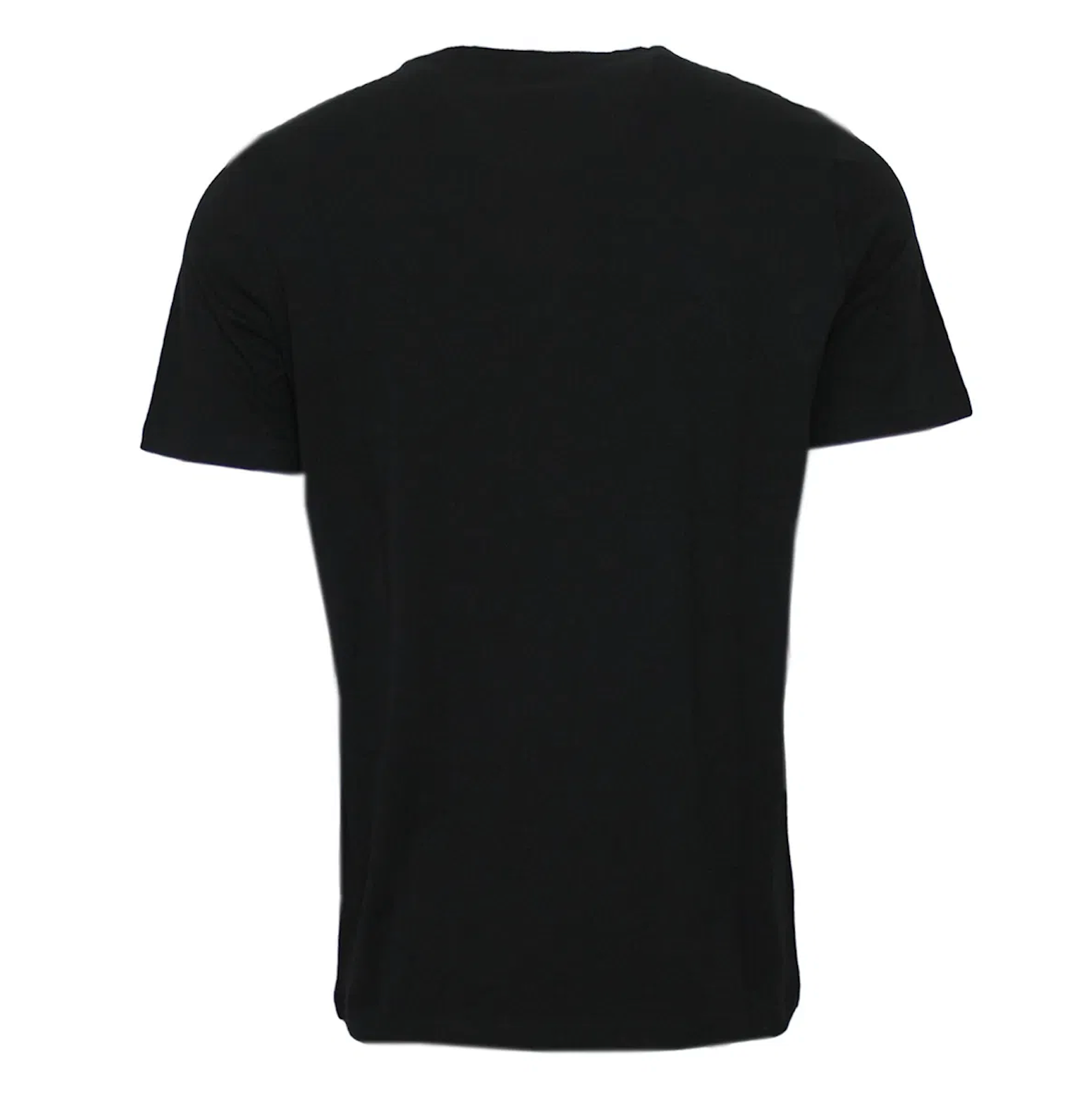 REGULAR FIT T SHIRT