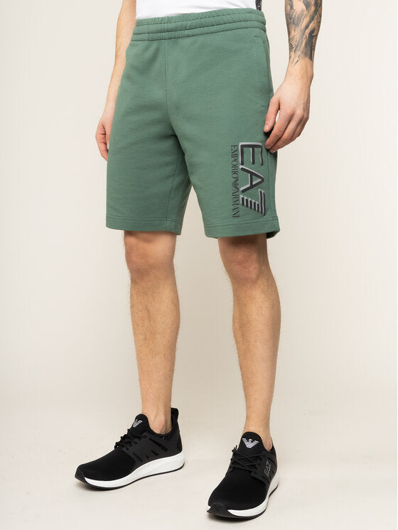 TRAIN VISIBILITY SHORTS