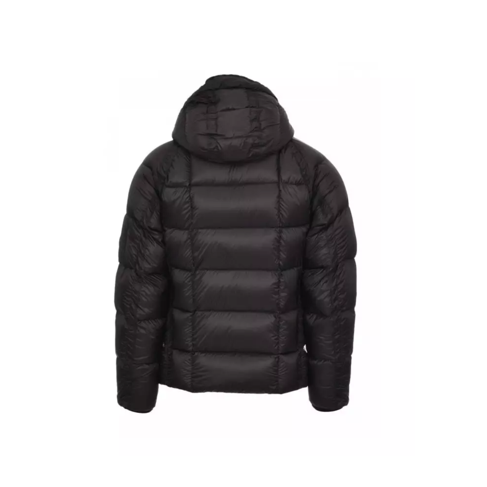 Outwear Medium jacket DD SHELL